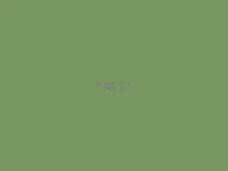 Example Product 1153