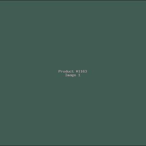 Example Product 1163