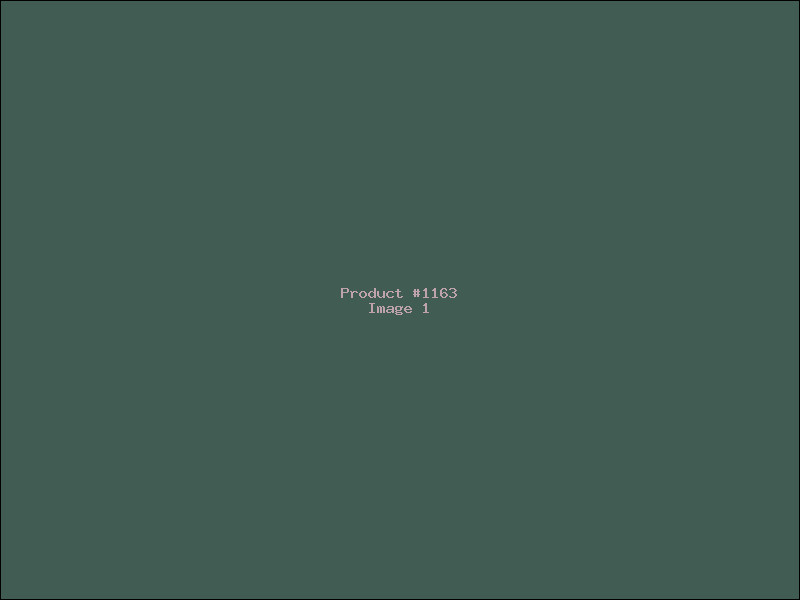 Example Product 1163