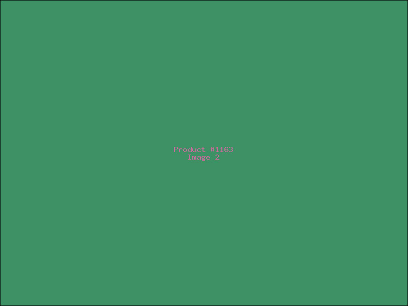 Example Product 1163 - Image 2