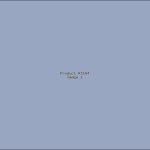 Example Product 1164