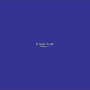 Example Product 1169