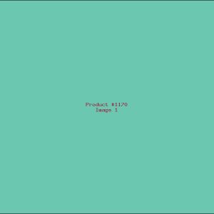 Example Product 1170