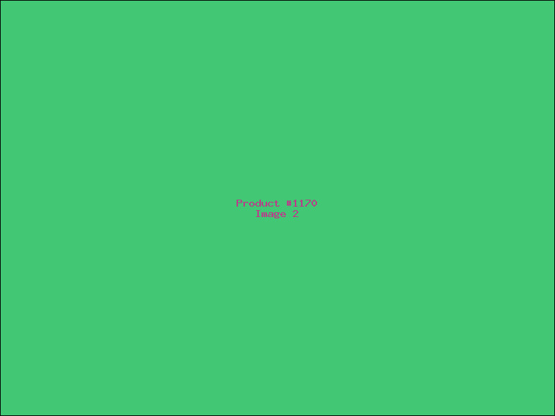 Example Product 1170 - Image 2