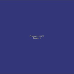 Example Product 1173