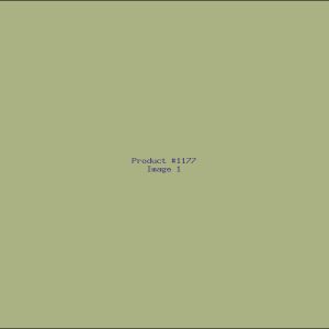 Example Product 1177
