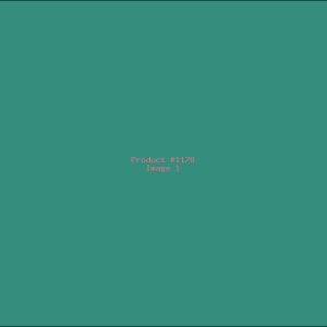 Example Product 1178