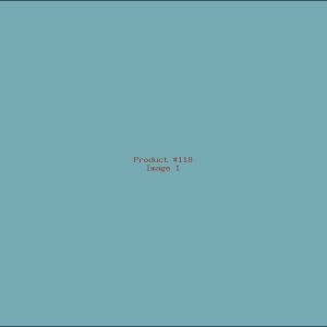 Example Product 118