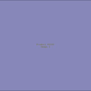 Example Product 1181