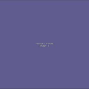 Example Product 1184