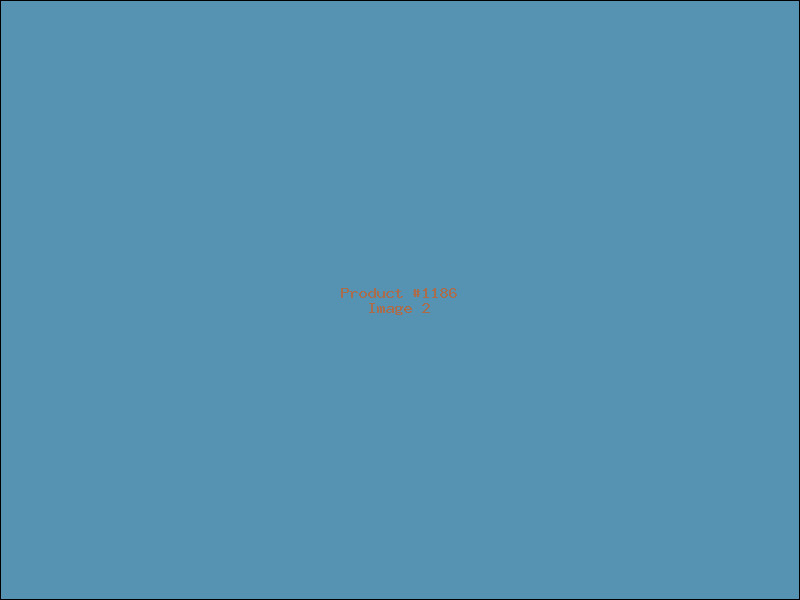 Example Product 1186 - Image 2