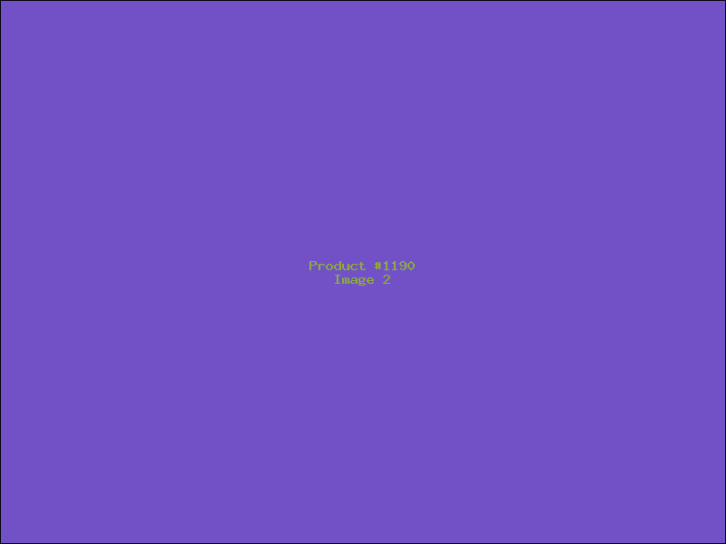 Example Product 1190 - Image 2