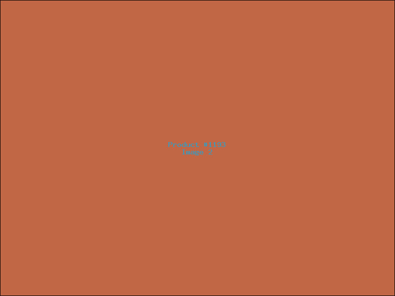 Example Product 1193 - Image 2