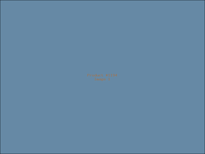 Example Product 1194