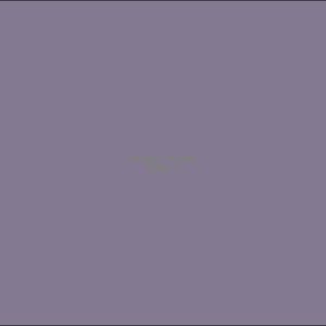 Example Product 1195