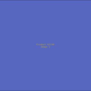 Example Product 1198