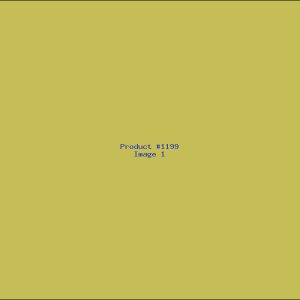 Example Product 1199