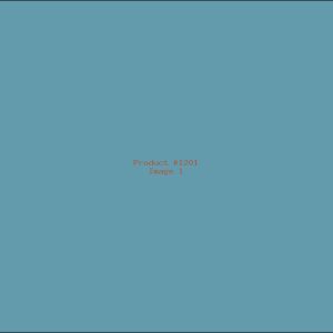 Example Product 1201
