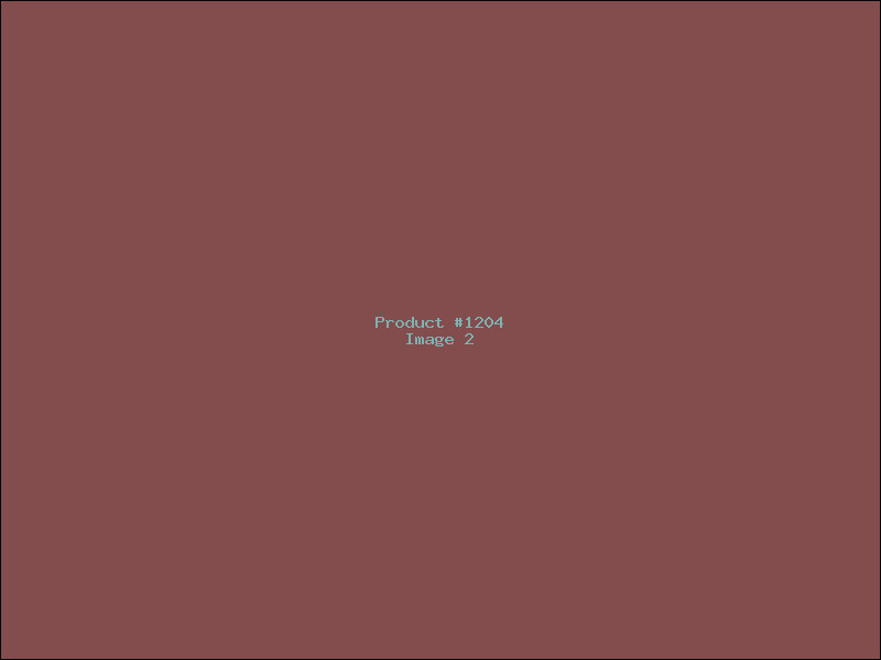 Example Product 1204 - Image 2