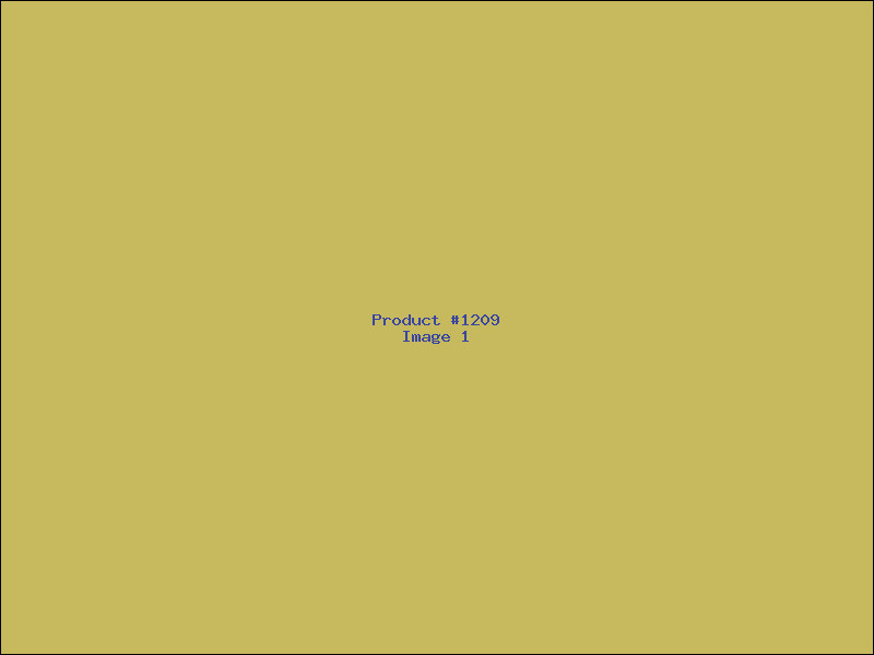 Example Product 1209
