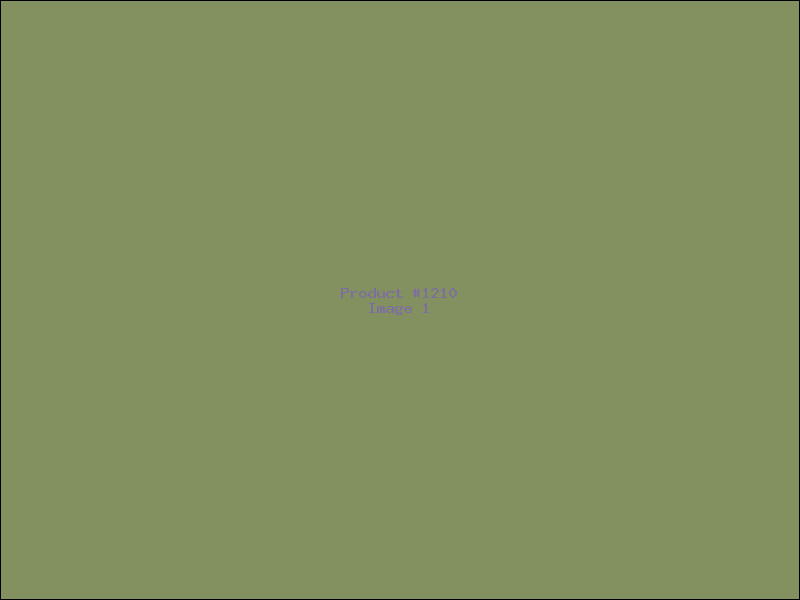 Example Product 1210