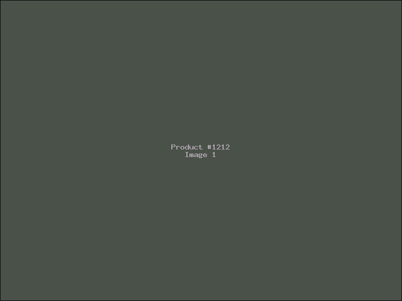 Example Product 1212