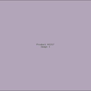 Example Product 1217