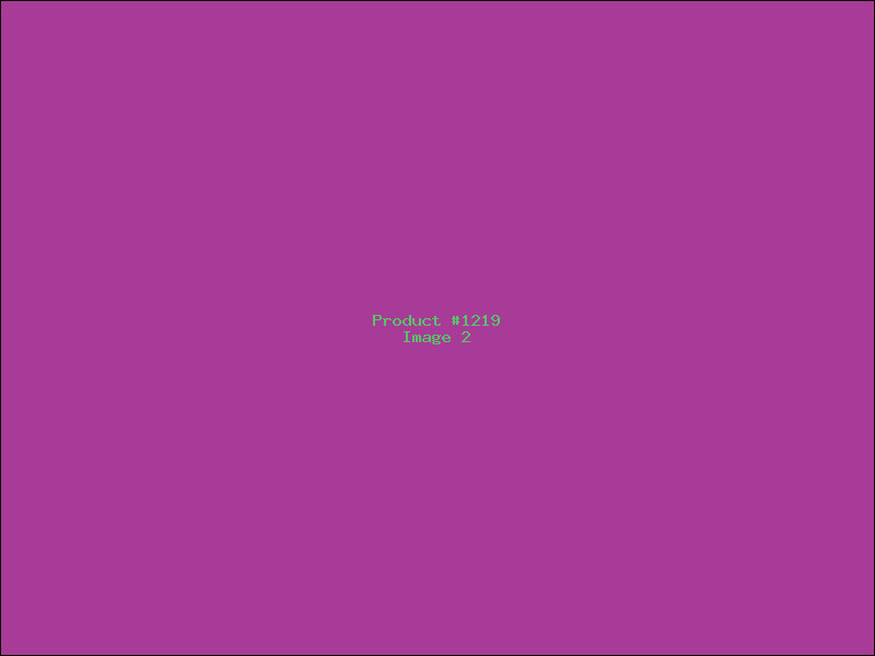 Example Product 1219 - Image 2