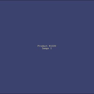 Example Product 1220
