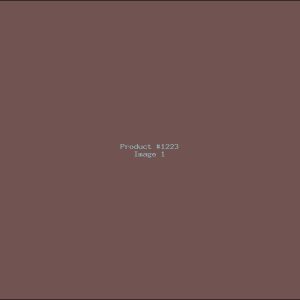 Example Product 1223