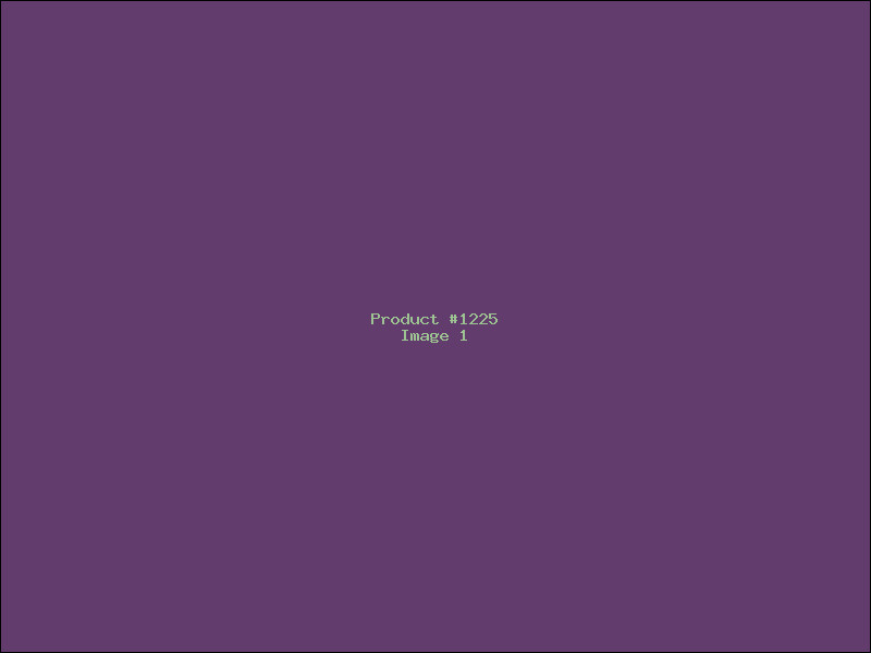 Example Product 1225