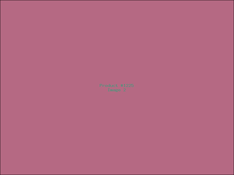Example Product 1225 - Image 2