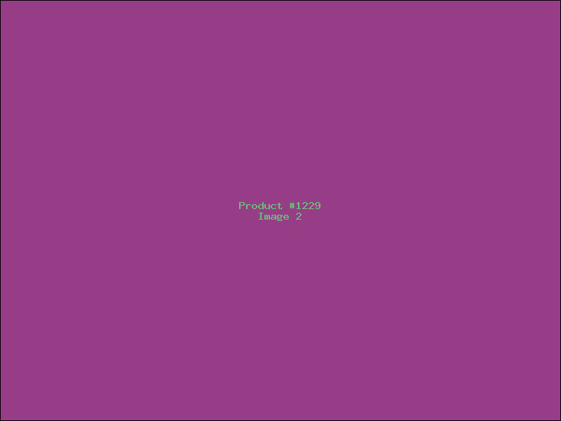 Example Product 1229 - Image 2