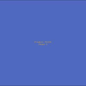Example Product 1230