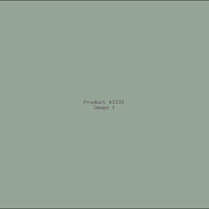 Example Product 1231