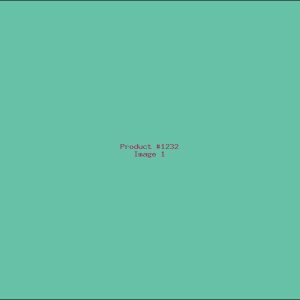 Example Product 1232