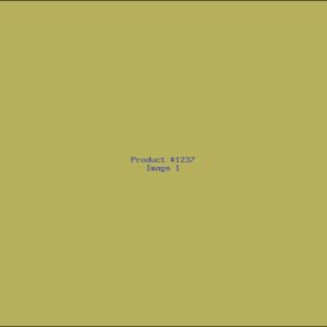Example Product 1237