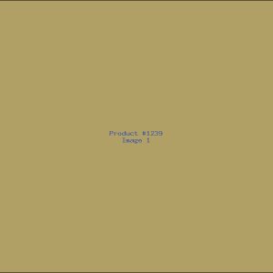 Example Product 1239