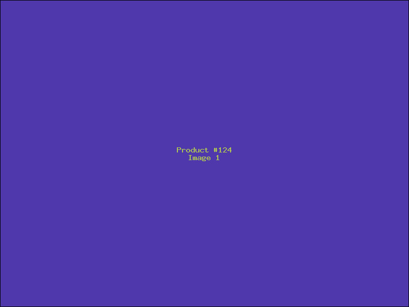 Example Product 124