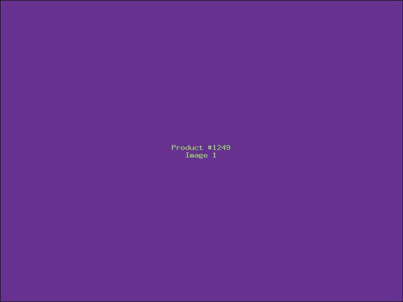 Example Product 1249