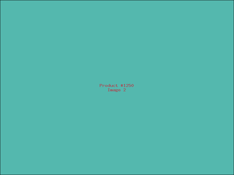 Example Product 1250 - Image 2