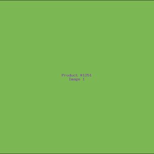 Example Product 1251
