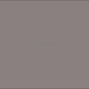 Example Product 1253