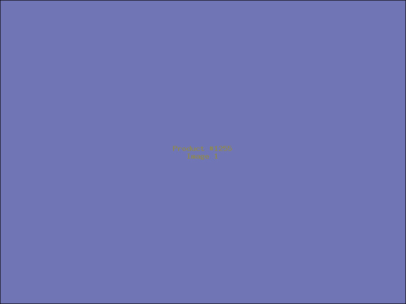Example Product 1255