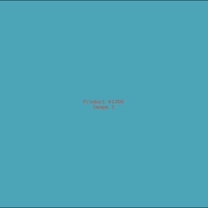 Example Product 1256