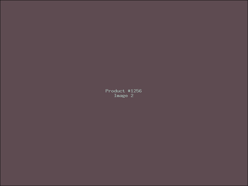 Example Product 1256 - Image 2