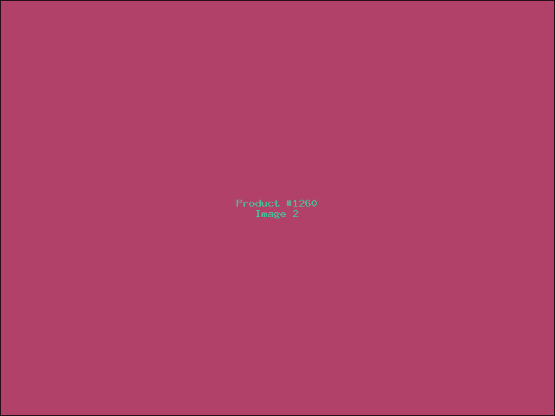 Example Product 1260 - Image 2