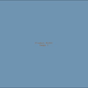 Example Product 1261