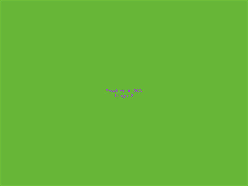 Example Product 1263 - Image 2