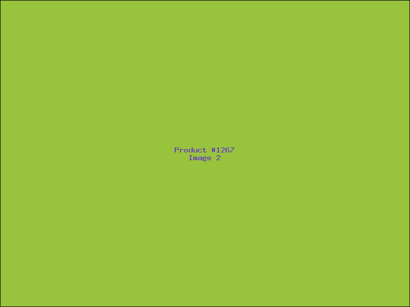 Example Product 1267 - Image 2